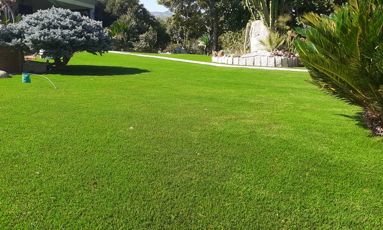 erba sintetica ornamentale cagliari