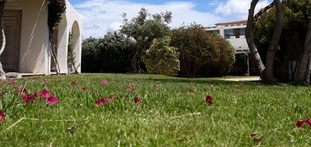 giardinaggio landscaping cagliari