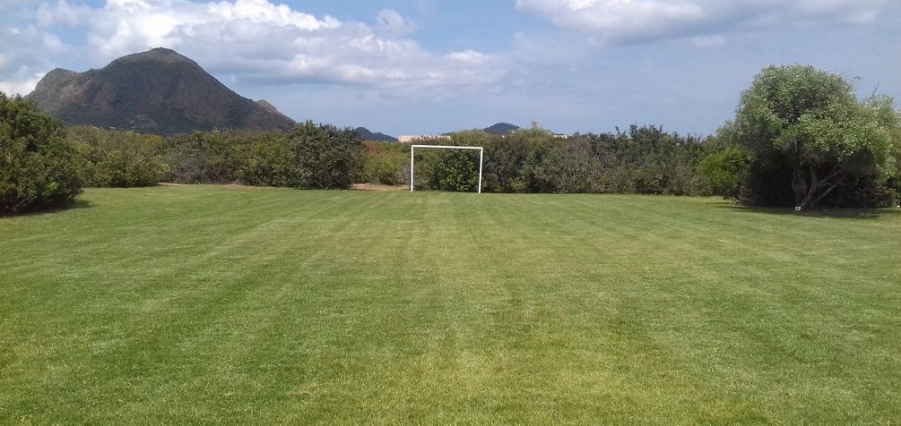 giardinaggio landscaping cagliari