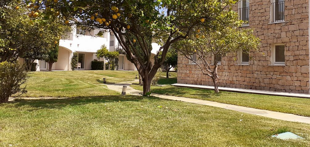 giardinaggio landscaping cagliari